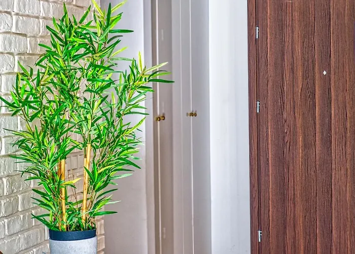 Triventi 48 Premium - 5d *